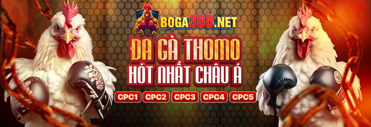 Đá gà RK68 trực tuyến với những trận đấu kịch tính và hấp dẫn