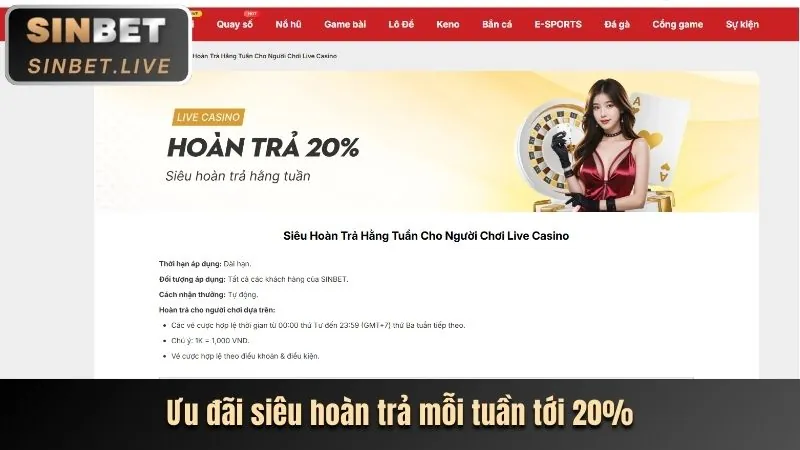 Tổng quan nền tảng cá cược trực tuyến rk68